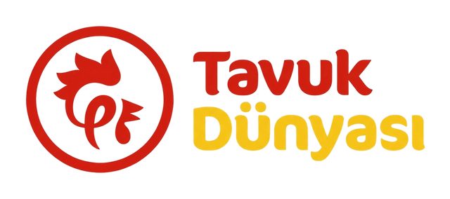 Tavuk Dünyası
